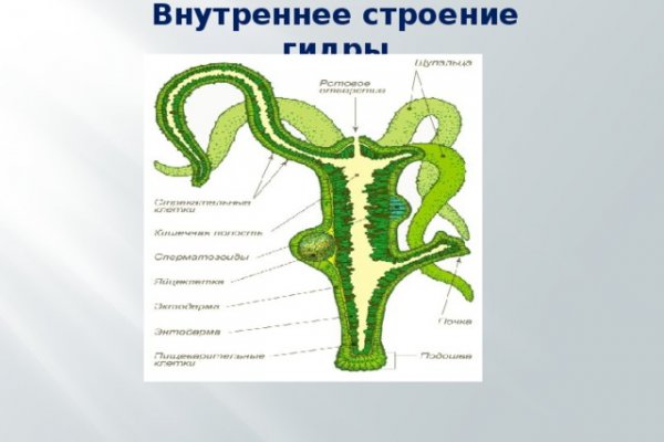 Сайты для даркнета